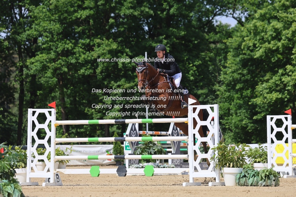 Preview max paschertz mit amerigo vh zandershof z IMG_2426.jpg